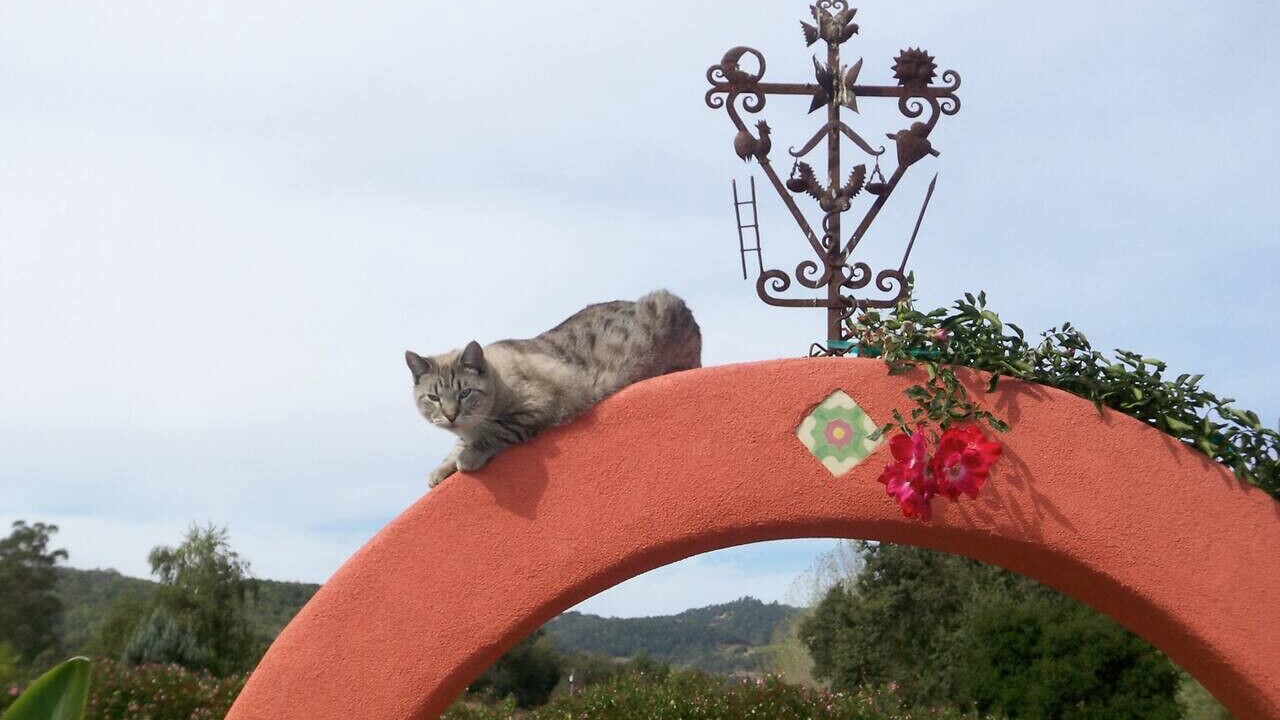 Photo of Outdoor in Sonoma