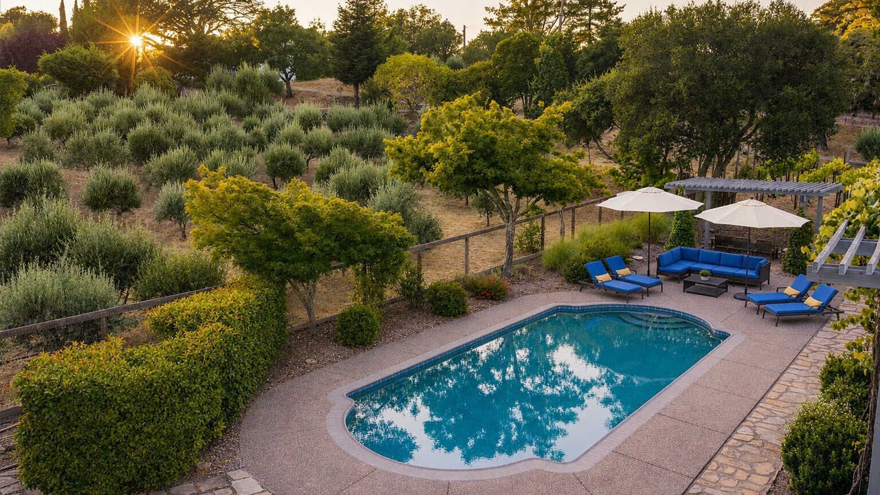 Photo of Outdoor in Healdsburg