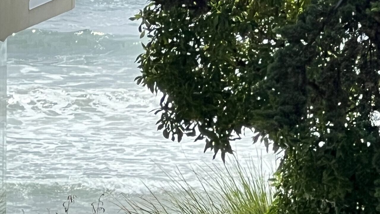 Photo of Others in Cayucos
