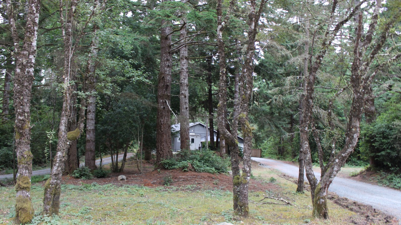 Photo of Outdoor in Bandon