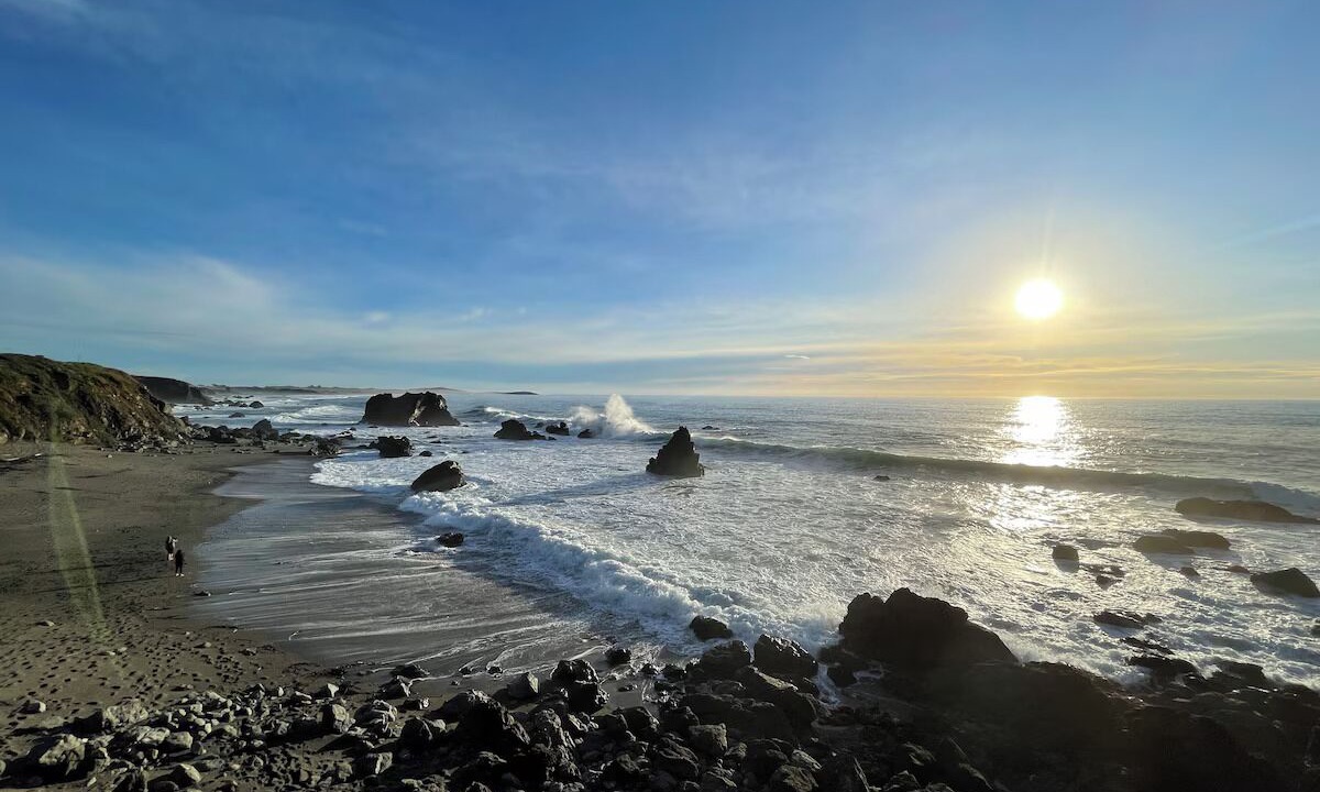 Photo of Others in Bodega Bay