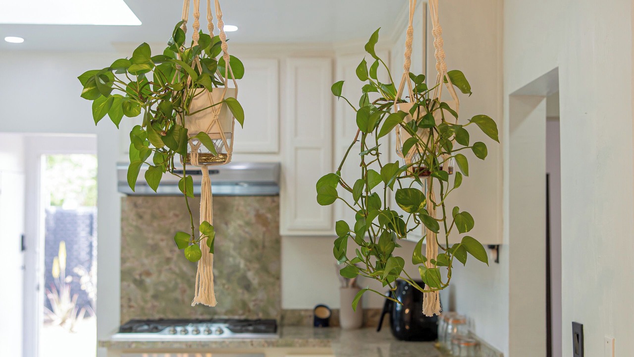 Photo of Kitchen in San Jose
