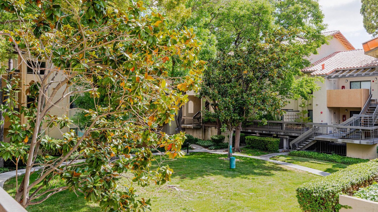 Photo of Outdoor in Shoreline West