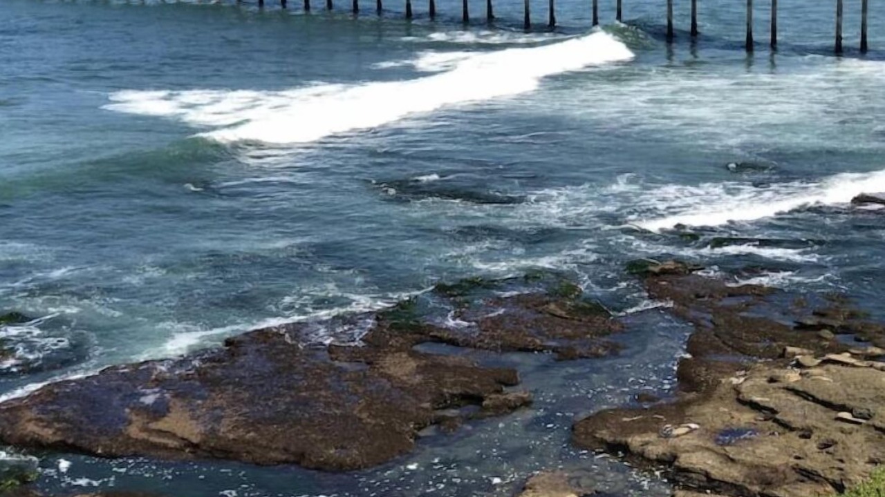 Photo of Others in Ocean Beach