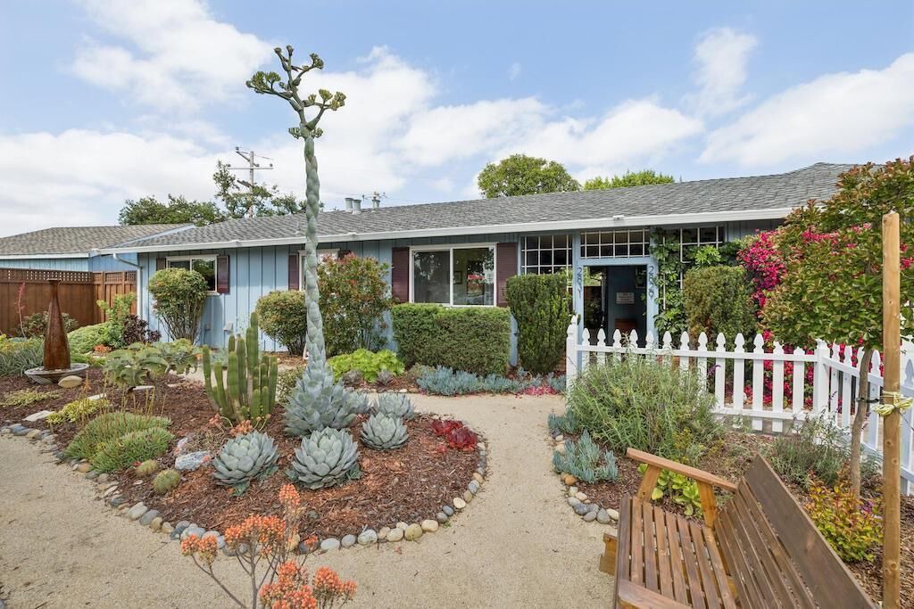 Photo of Outdoor in Willow Glen
