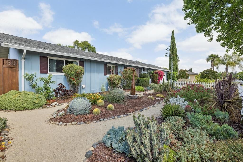 Photo of Outdoor in Willow Glen
