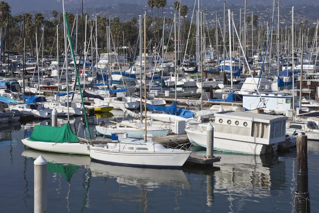 Photo of Others in Pierpont Bay