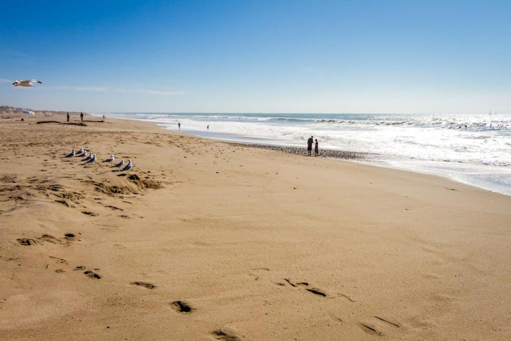 Photo of Others in Channel Islands
