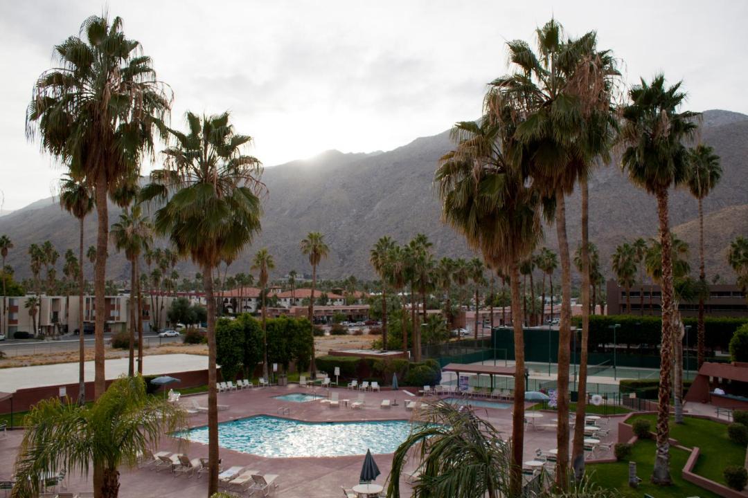 Photo of Outdoor in Downtown Palm Springs