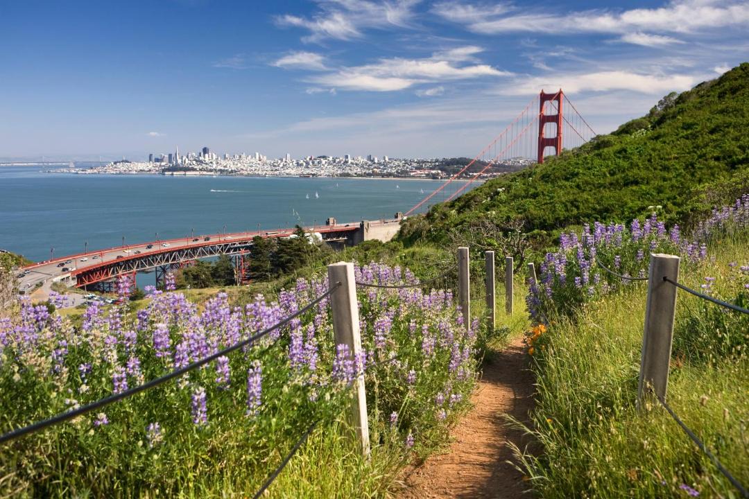 Photo of Others in Sausalito