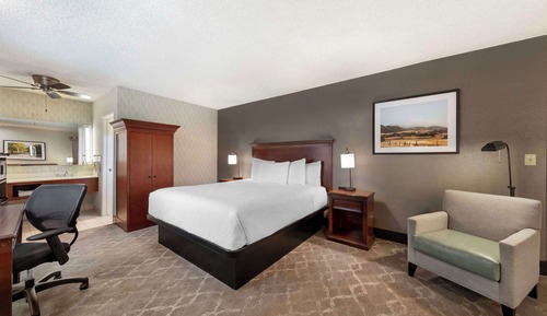 Standard Room, 1 King Bed, Non Smoking, Refrigerator & Microwave (with Single Sofabed;Larger Room)