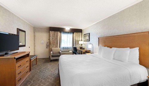 Standard Room, 1 King Bed, Non Smoking, Refrigerator & Microwave