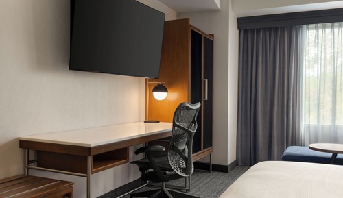 Room, 1 King Bed with Sofa bed (Mobility Accessible, Roll-in Shower)