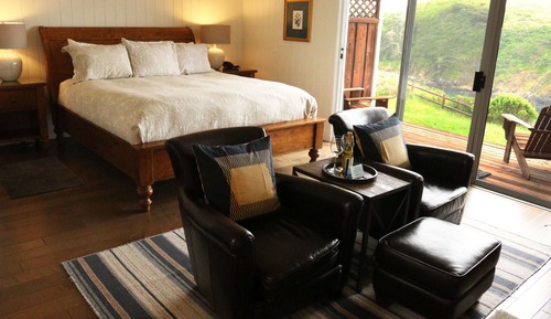 Room, 1 King Bed, Bathtub