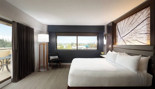 Room, 1 King Bed (Mobility Accessible, Roll-in Shower)