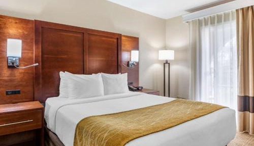 Standard Room, 1 Queen Bed, Non Smoking
