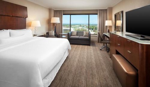 Traditional, Guest room, 1 King